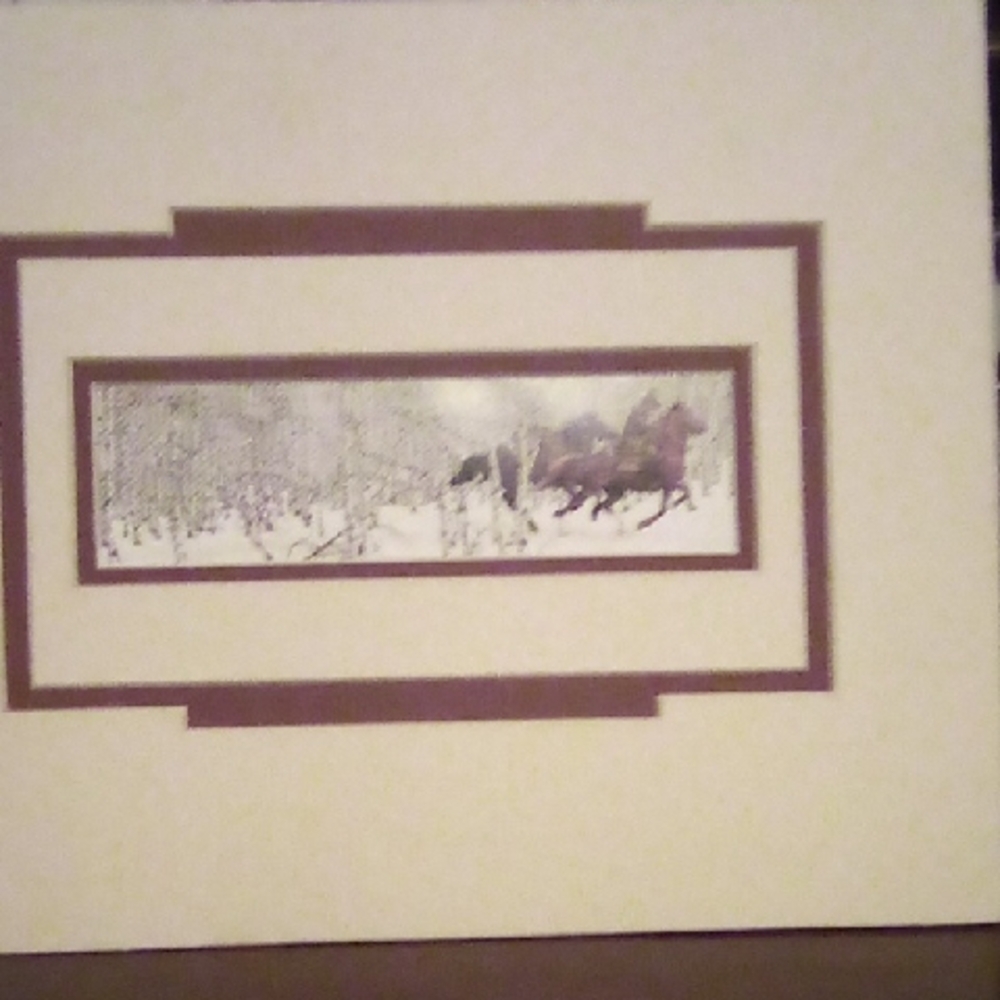 Bev Doolittle Book Print #459 Sacred Ground, Collector Value.
